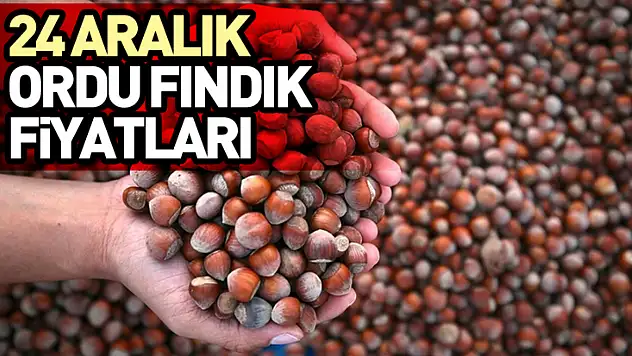 24 Aralık Ordu Fındık Fiyatları