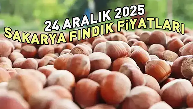 24 Aralık Sakarya Fındık Fiyatları | Marmara Talebi Fiyatları Ayakta Tutuyor