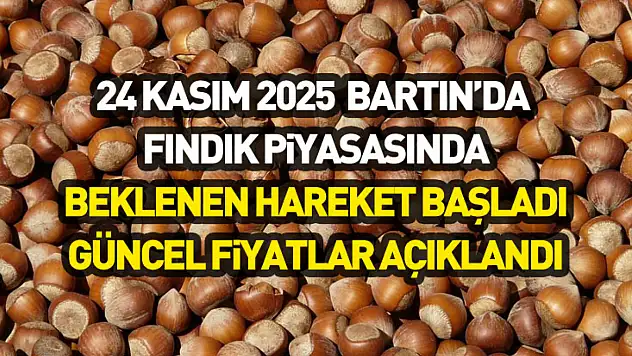 24 Kasım 2025 – Bartın'da Fındık Piyasasında Beklenen Hareket Başladı | Güncel Fiyatlar Açıklandı