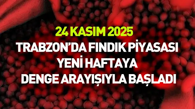 24 Kasım 2025 – Trabzon'da Fındık Piyasası Yeni Haftaya Denge Arayışıyla Başladı