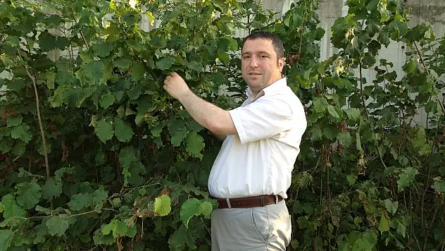 Köse'den Fındık Üreticisine Müjde