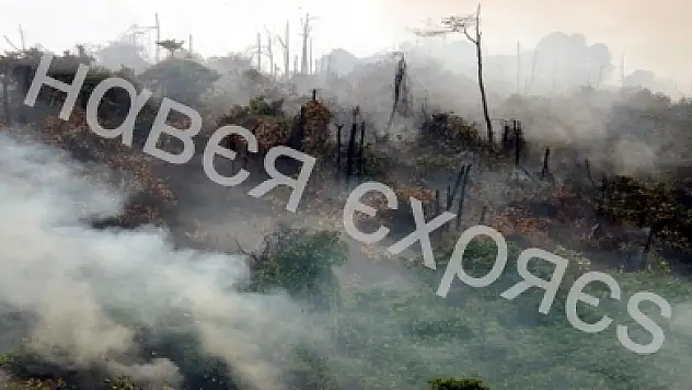 Bir yılda 2904 hektar orman yok oldu