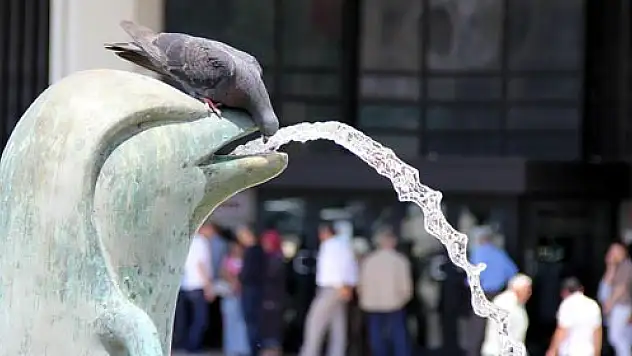  SICAK HAVA HAYVANLARI DA ETKİLİYOR