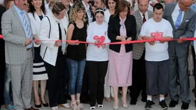 BAKAN ŞAHİN, 'MAVİ IŞIKLAR'I AÇTI