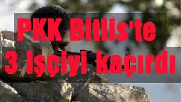 PKK Bitlis'te 3 kişiyi kaçırdı