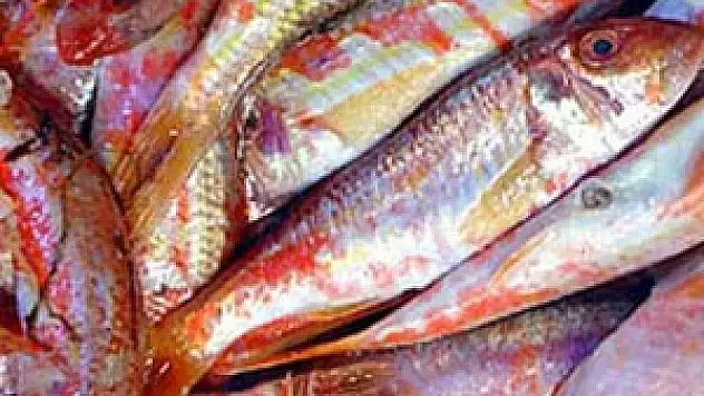 Altın fiyatına balık