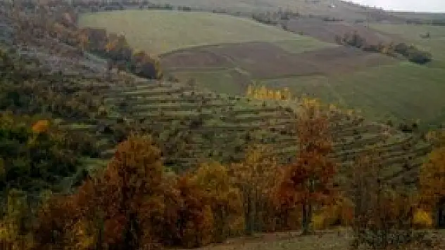 Samsun'un Yüzde 38'i Ormanlık Alan