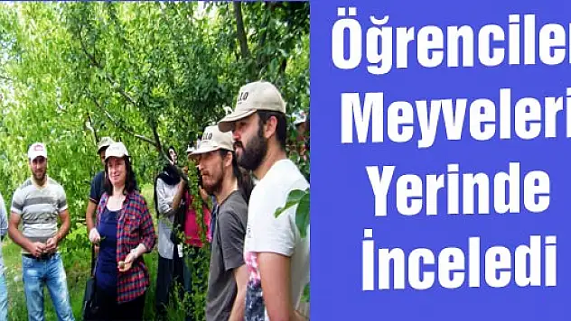 Öğrenciler Meyveleri Yerinde İnceledi