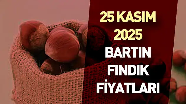 25 Kasım 2025 Bartın Fındık Fiyatları : Piyasa Yeniden Canlandı