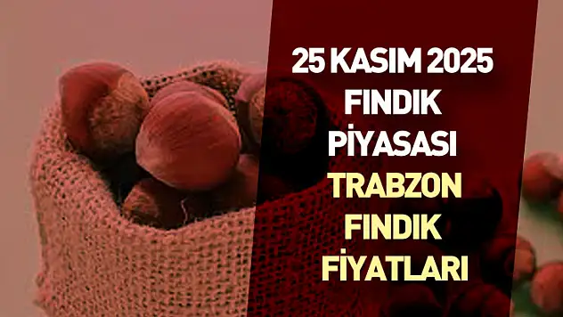 25 Kasım 2025 Fındık Piyasası Trabzon | Dengeli Seyir, Temkinli Bekleyiş
