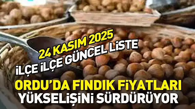 24 Kasım 2025 Ordu'da Fındık Fiyatları Yükselişini Sürdürüyor