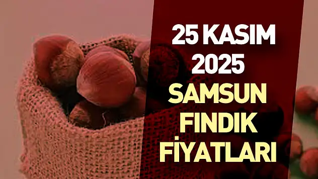 25 Kasım 2025 Samsun Fındık Fiyatları | İlçe İlçe Güncel Durum ve Piyasa Analizi