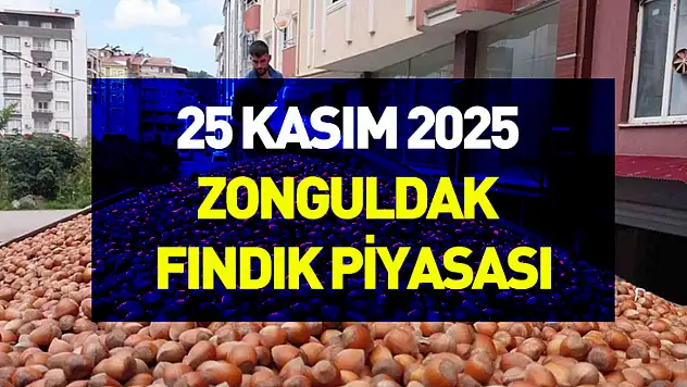 25 Kasım 2025 Zonguldak Fındık Piyasası | Dar Bant Hareketi Sürüyor