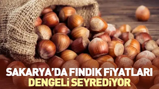 25 Ocak Sakarya'da Fındık Fiyatları: Sakarya'da Fındık Fiyatları Dengeli Seyrediyor