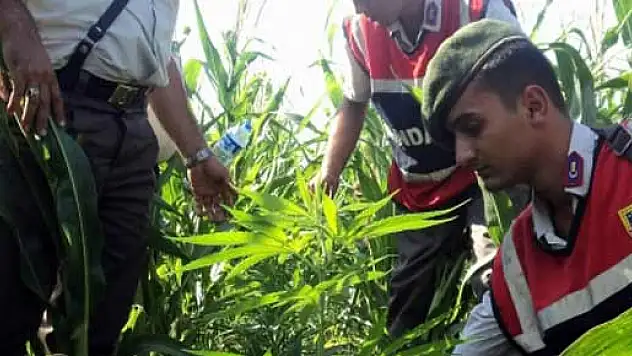 JANDARMADAN ESRAR OPERASYONU