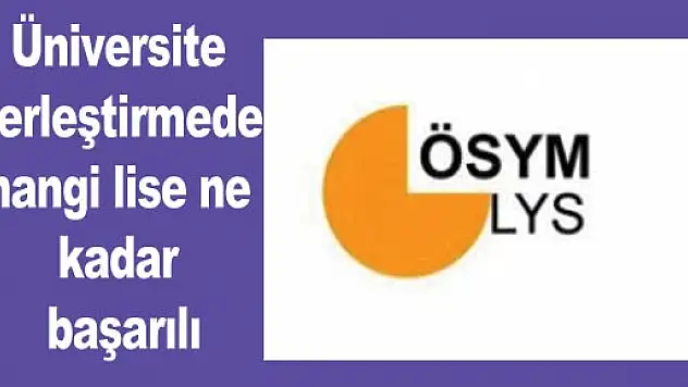 Üniversite yerleştirmede hangi lise ne kadar başarılı