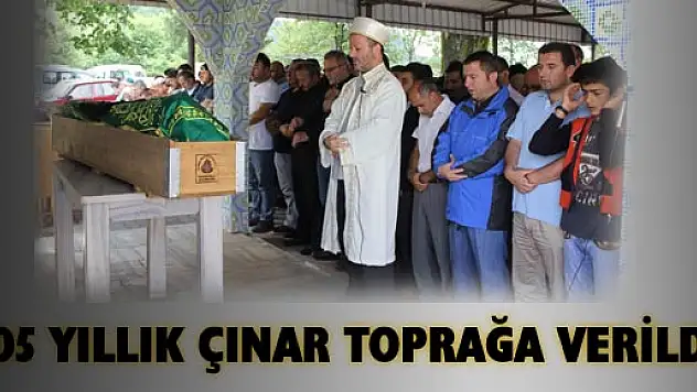 105 YILLIK ÇINAR TOPRAĞA VERİDİ