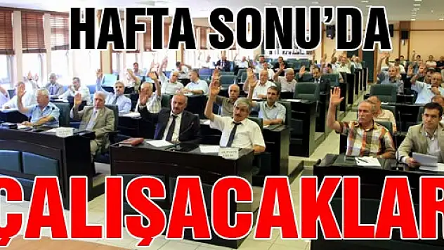 İl Genel Meclisi Hafta Sonu Çalışacak