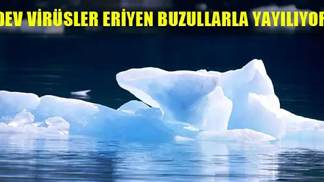 Doç.Dr. Oğuz Özyaral, 'Dev virüsler eriyen buzullarla yayılıyor'