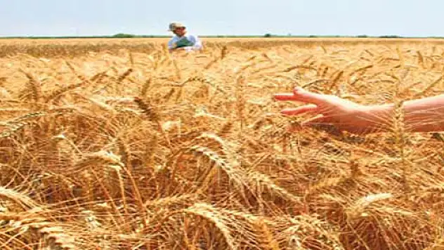 Atav, 'çiftçi, erteleme hususunda yanıltılıyor'