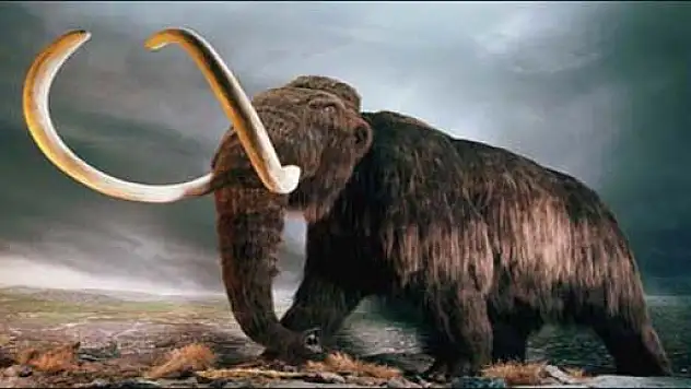 Milyon yıllık fosil bulundu.