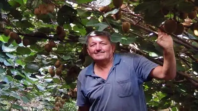 Yamaç Araziye Kivi Bahçesi Yaptı