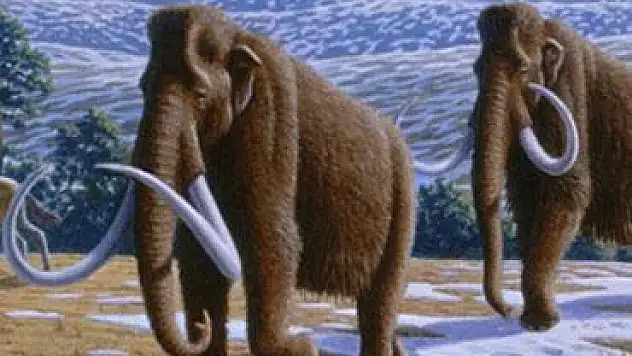 İklim değişikliği sonları olmuş