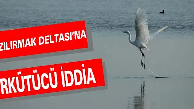 'KIZILIRMAK DELTASI AV TURİZMİNE AÇILIYOR' İDDİASI