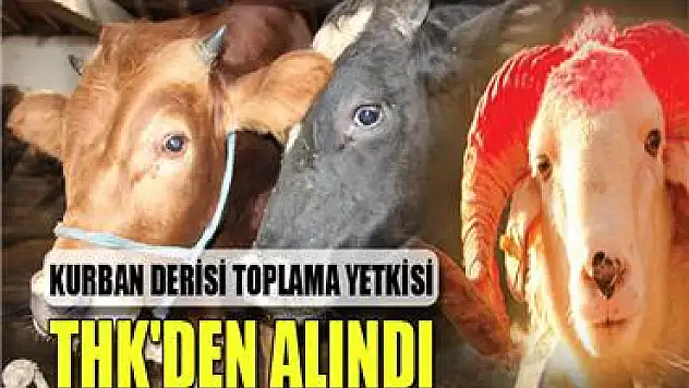 Kurban derisi toplama yetkisi THK'den alındı