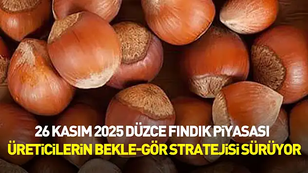 26 Kasım 2025 Düzce Fındık Piyasası | Üreticilerin Bekle-Gör Stratejisi Sürüyor