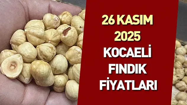 26 Kasım 2025 Kocaeli Fındık Fiyatları : Durağan Ancak Güçlü Görünüm