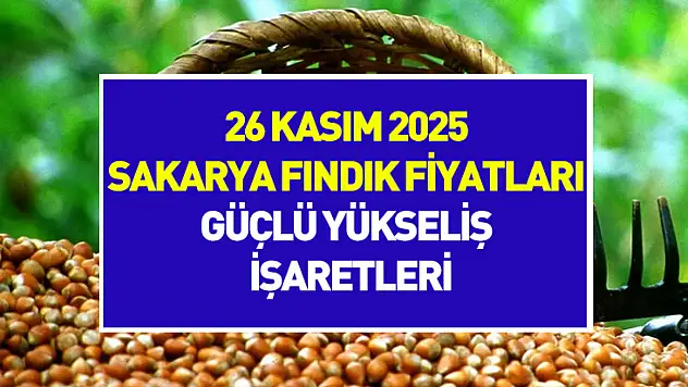 26 Kasım 2025 Sakarya Fındık Fiyatları | Güçlü Yükseliş İşaretleri