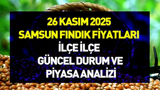 26 Kasım 2025 Samsun Fındık Fiyatları | İlçe İlçe Güncel Durum ve Piyasa Analizi