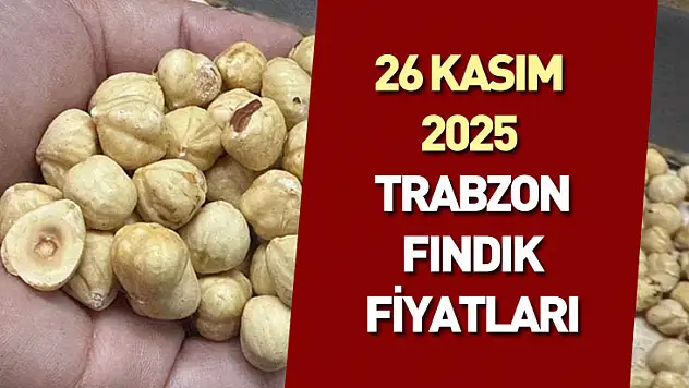 26 Kasım 2025 Trabzon Fındık Fiyatları | Dengeli Seyir ve Temkinli Bekleyiş