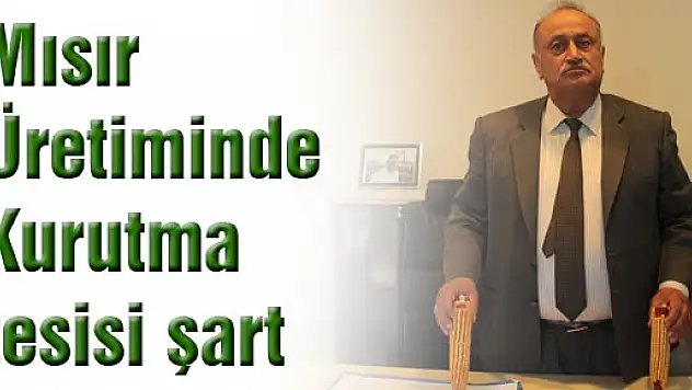 Mısır Üretiminde Kurutma tesisi şart