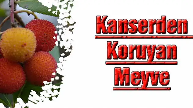 Kanserden Koruyan Meyve