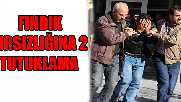  FINDIK HIRSIZLIĞINA 2 TUTUKLAMA