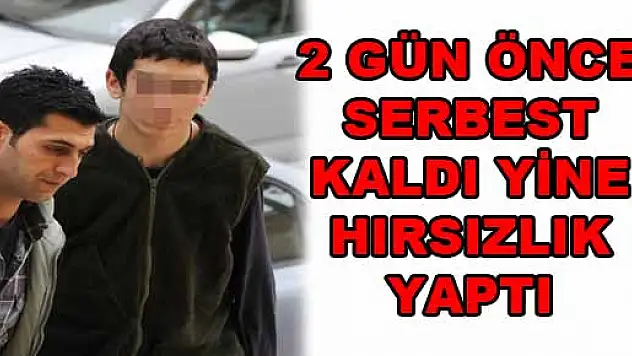 2 GÜN ÖNCE SERBEST KALDI YİNE HIRSIZLIK YAPTI