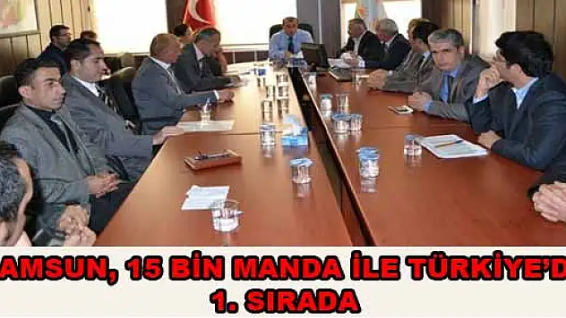 SAMSUN, 15 BİN MANDA İLE TÜRKİYE'DE 1. SIRADA 