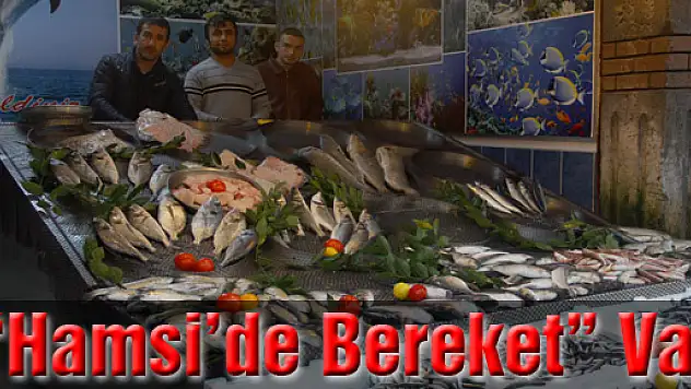 'Hamside Bereket' Var