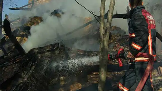 SAMANLIK YANGINI ORMANLIK ALANA SIÇRADI