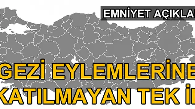 Gezi eylemlerine katılmayan tek il