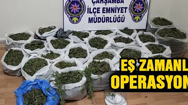 Çarşamba'da Eş Zamanlı Uyuşturucu Operasyonu