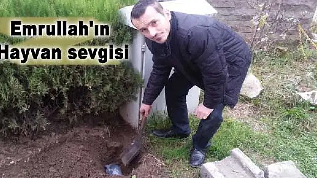 Emrullah'ın Hayvan sevgisi