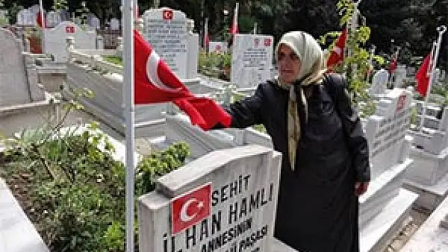 'O FOTOĞRAF, ŞEHİT ANALARINI AĞLATIYOR'