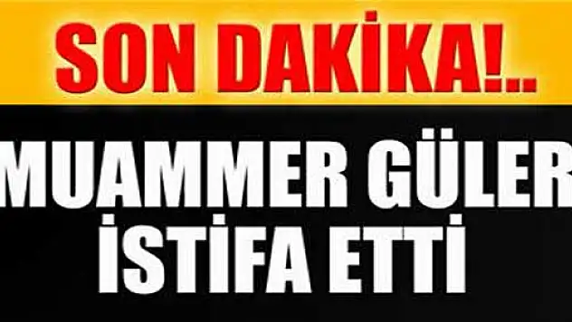 İçişleri Bakanı Muammer Güler istifa etti