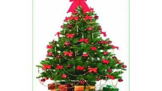 Diyanet'ten Çam Ağacı Uyarısı