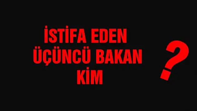 Üç bakan bugün görevlerinden istifa etti.