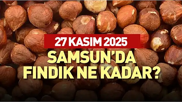 27 Kasım 2025 Samsun Fındık Fiyatları | Piyasada Yukarı Yönlü Beklenti Güçleniyor