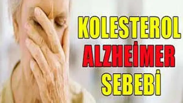 Kolestrol alzheimer sebebi